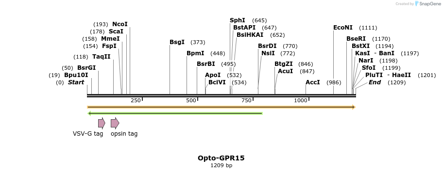 200767_map