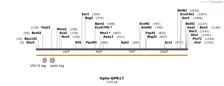 200768_map