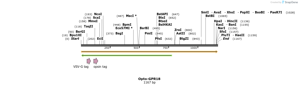 200769_map