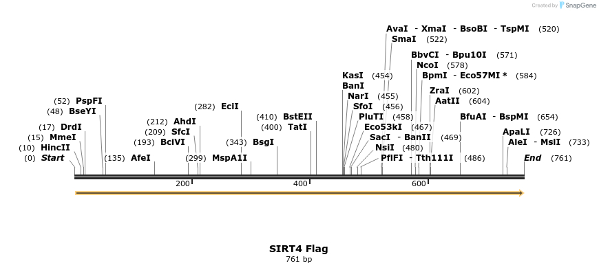 20077_map