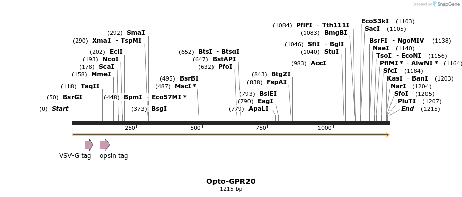 200771_map