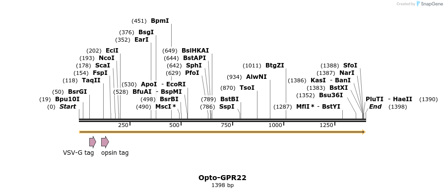 200773_map