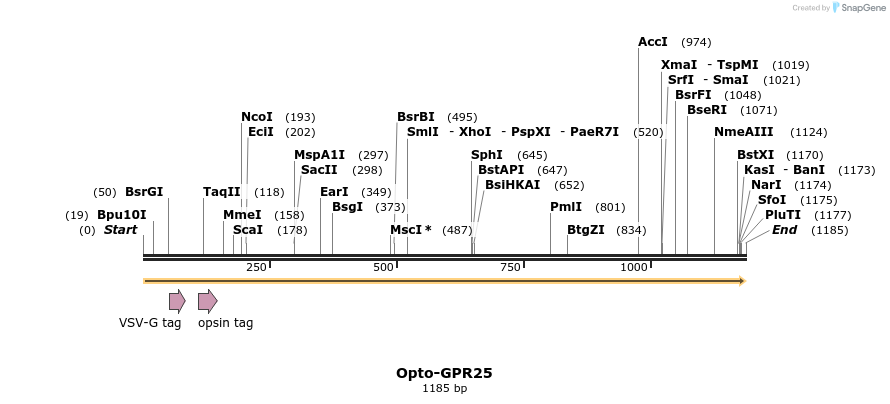 200774_map