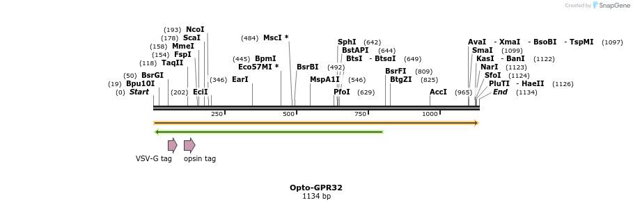 200778_map