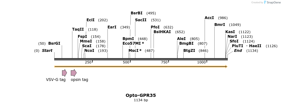 200781_map