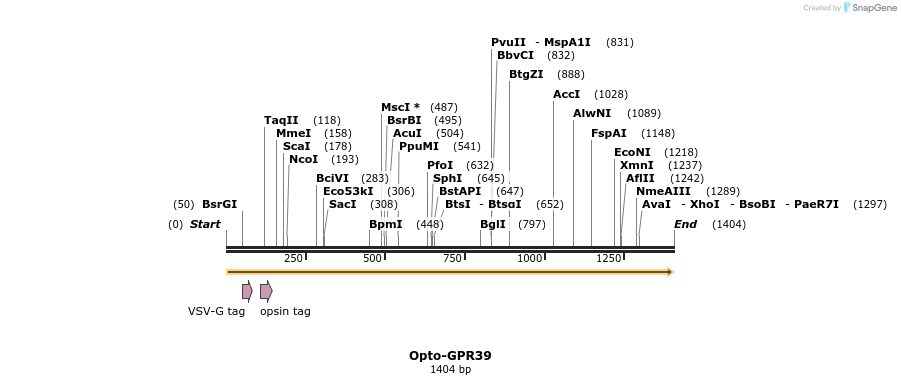 200784_map