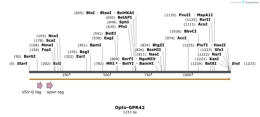 200785_map