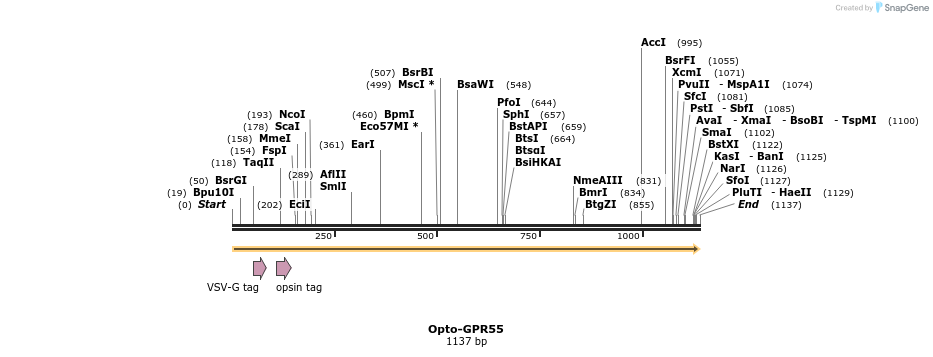 200789_map