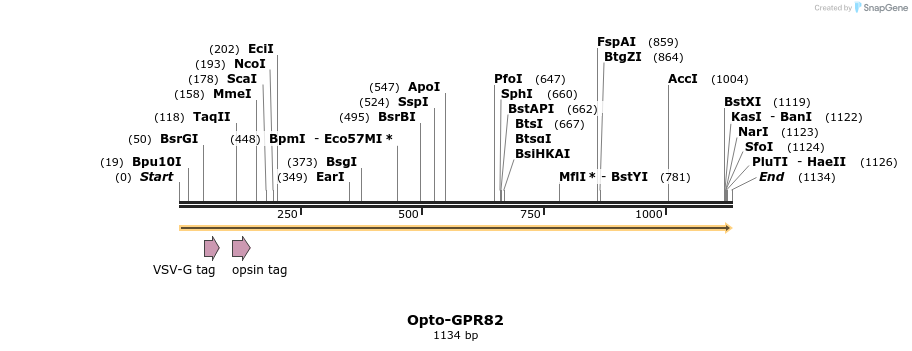 200797_map