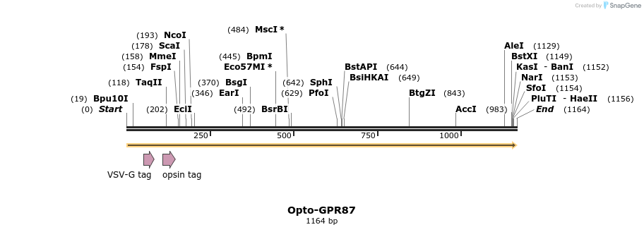 200801_map