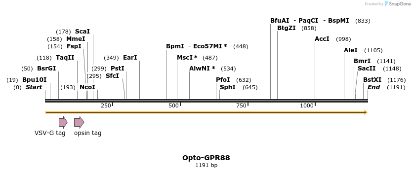 200802_map