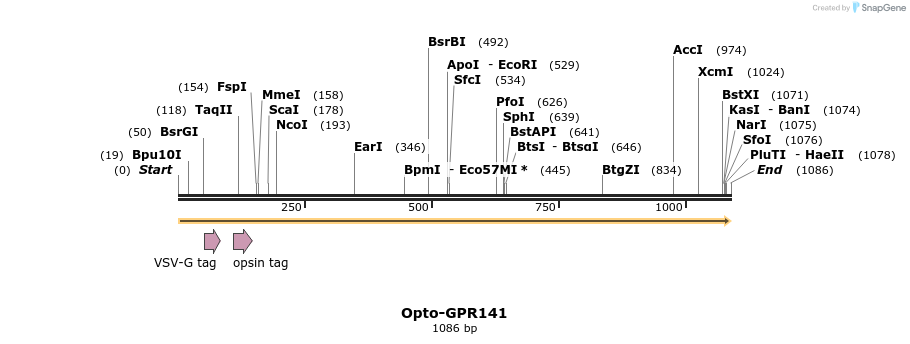 200808_map