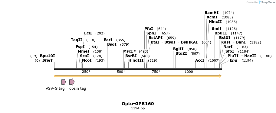 200817_map