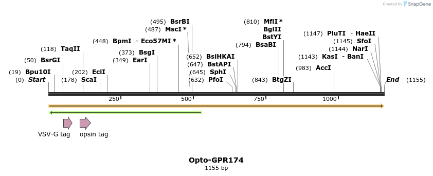 200822_map