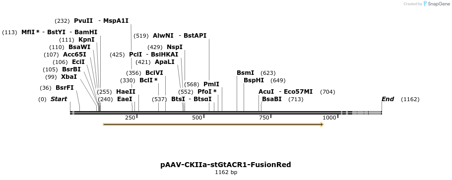 200909_map