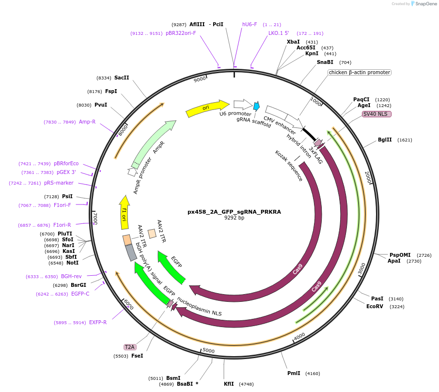 200920_map