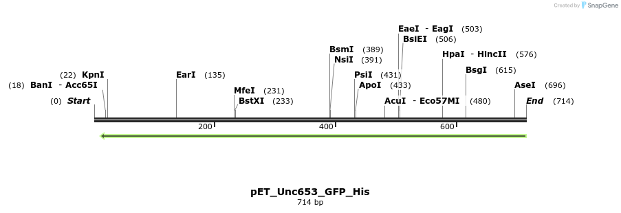 20104_map