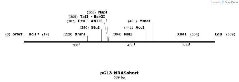 20113_map