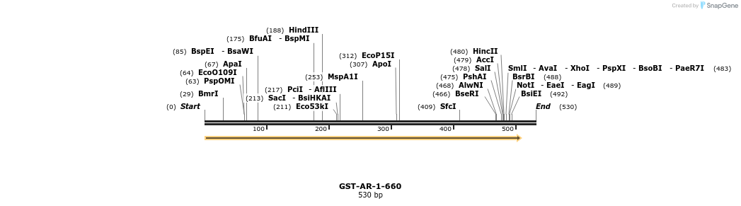 201213_map