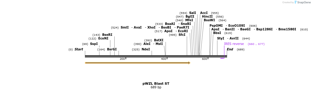 20123_map