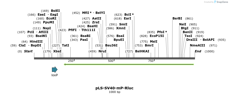 201246_map
