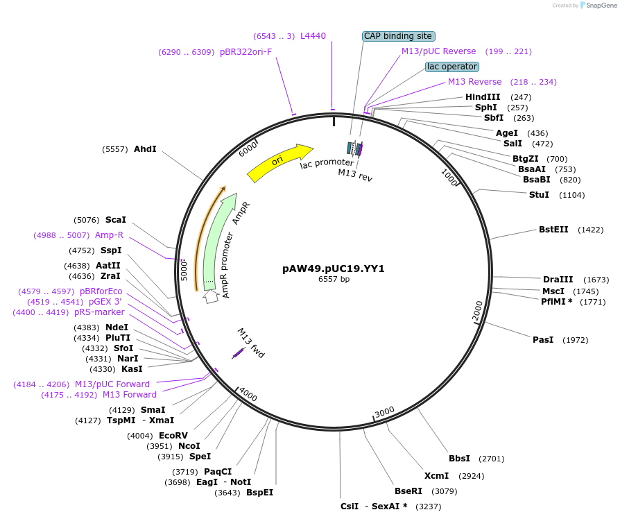 201402_map