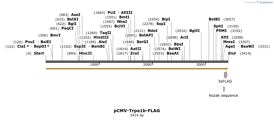 201481_map