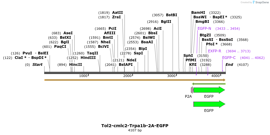 201487_map
