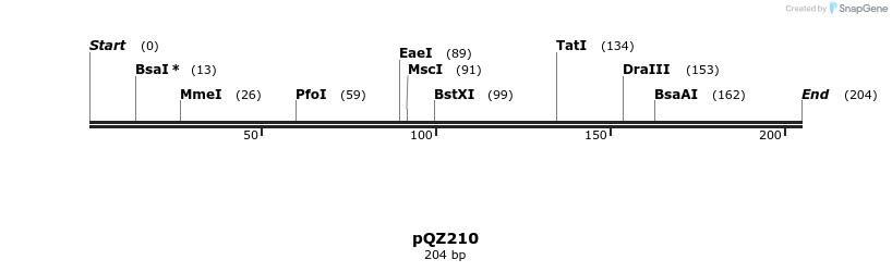 201512_map