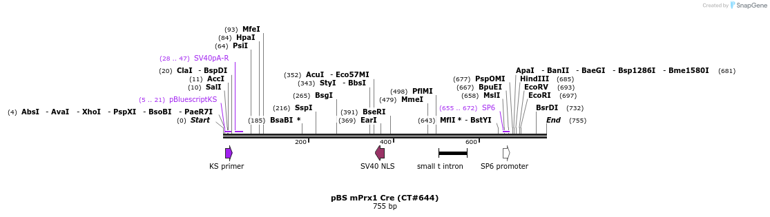 20154_map