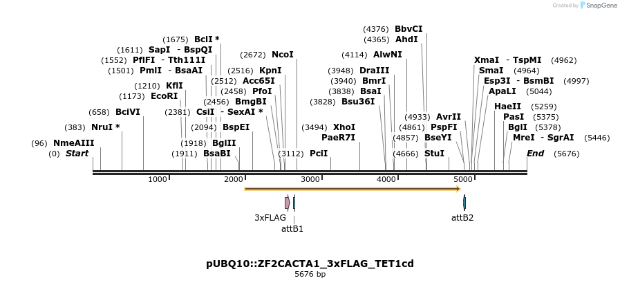 201567_map