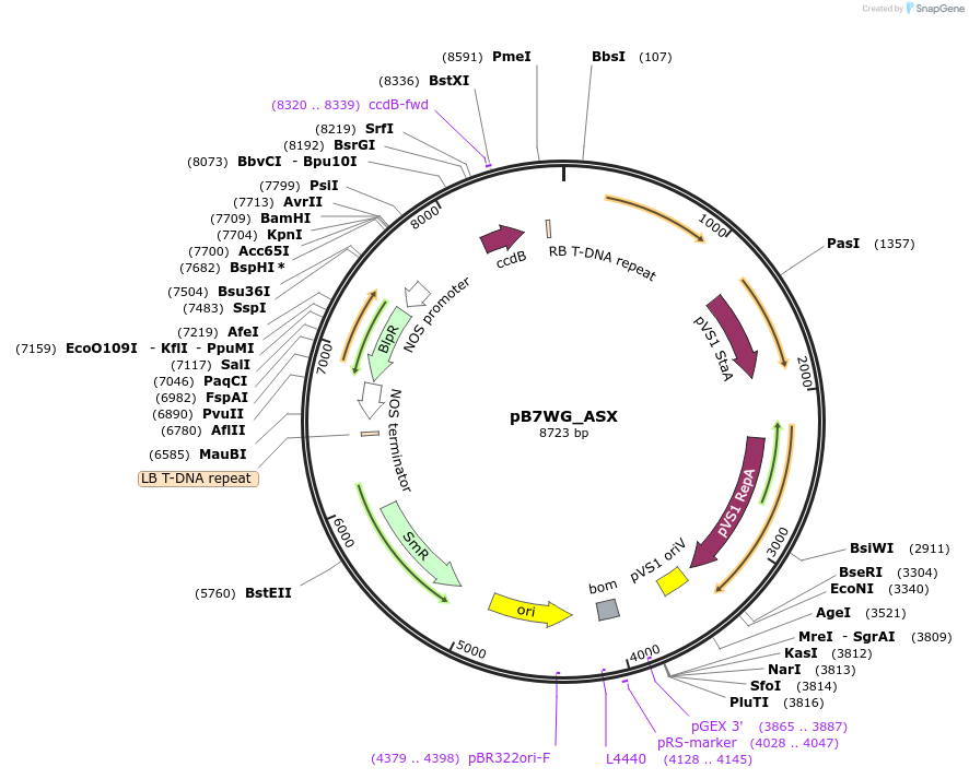 201572_map