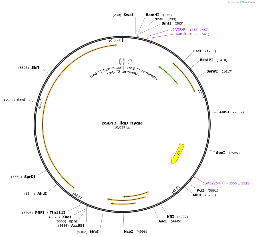 201573_map