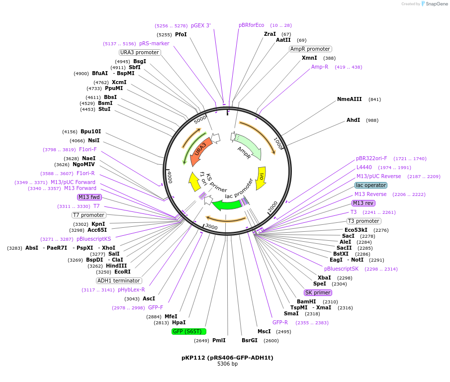 201584_map