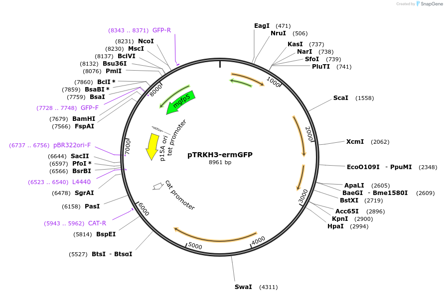 201585_map