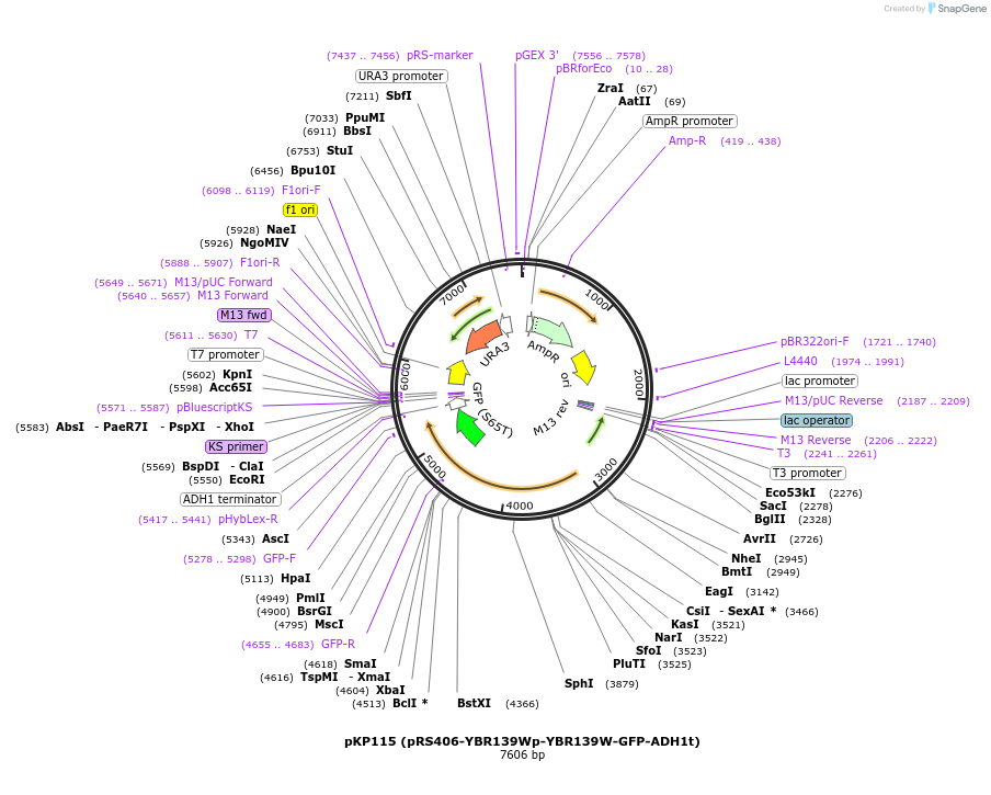 201587_map