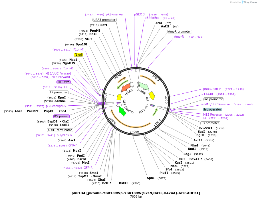 201591_map