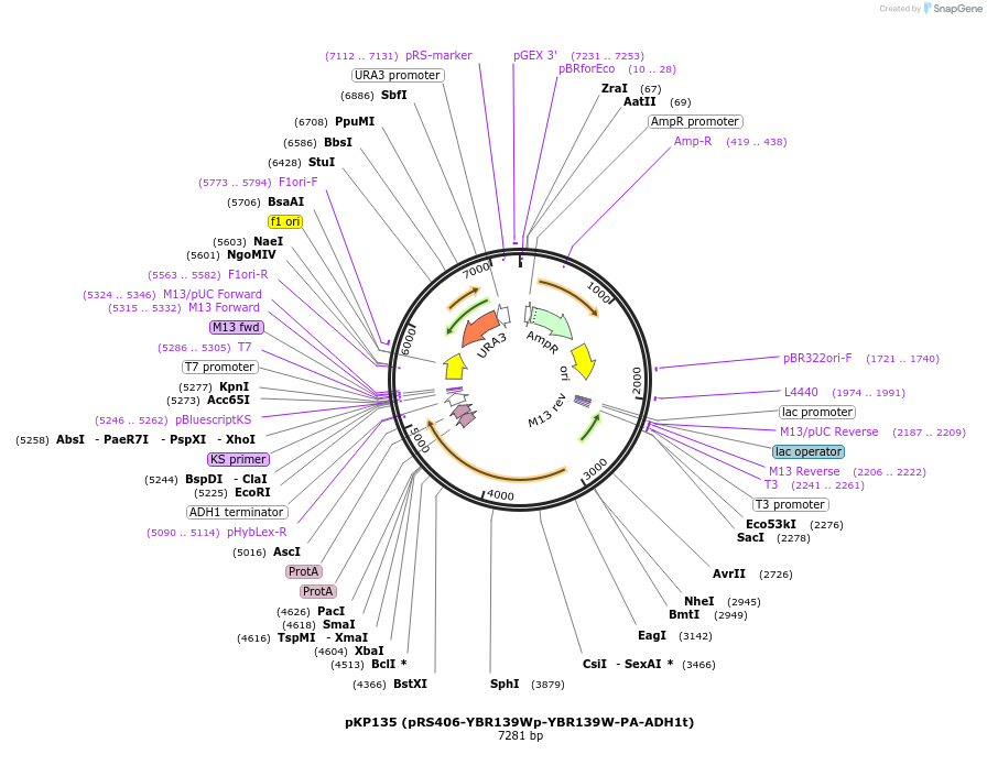 201593_map