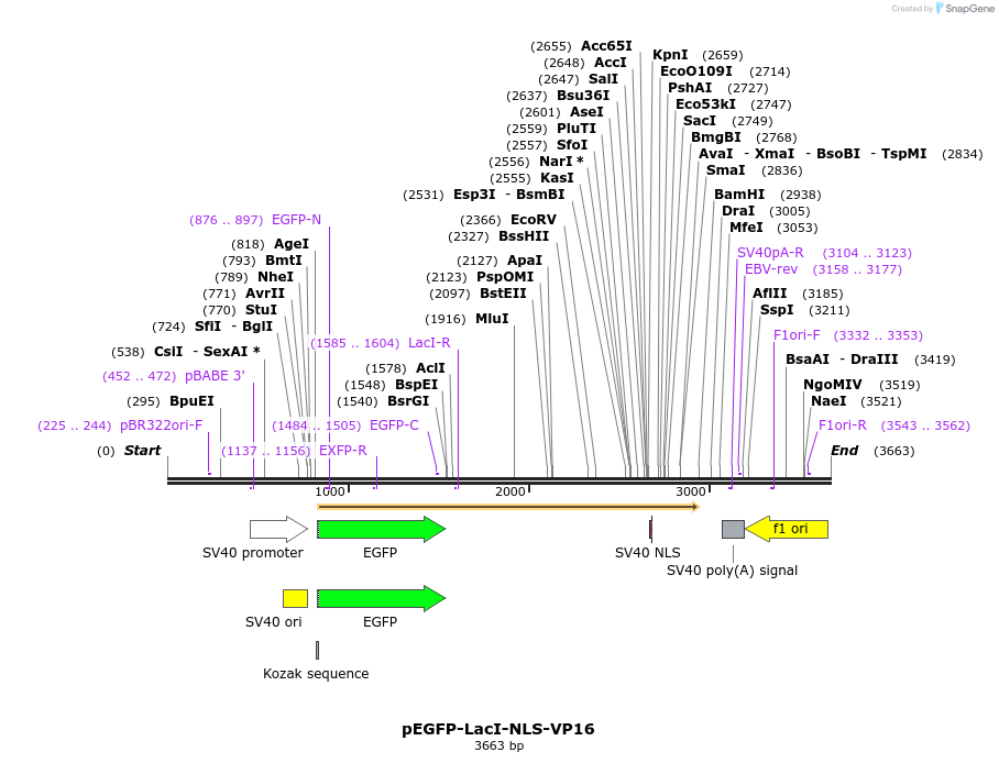 201640_map