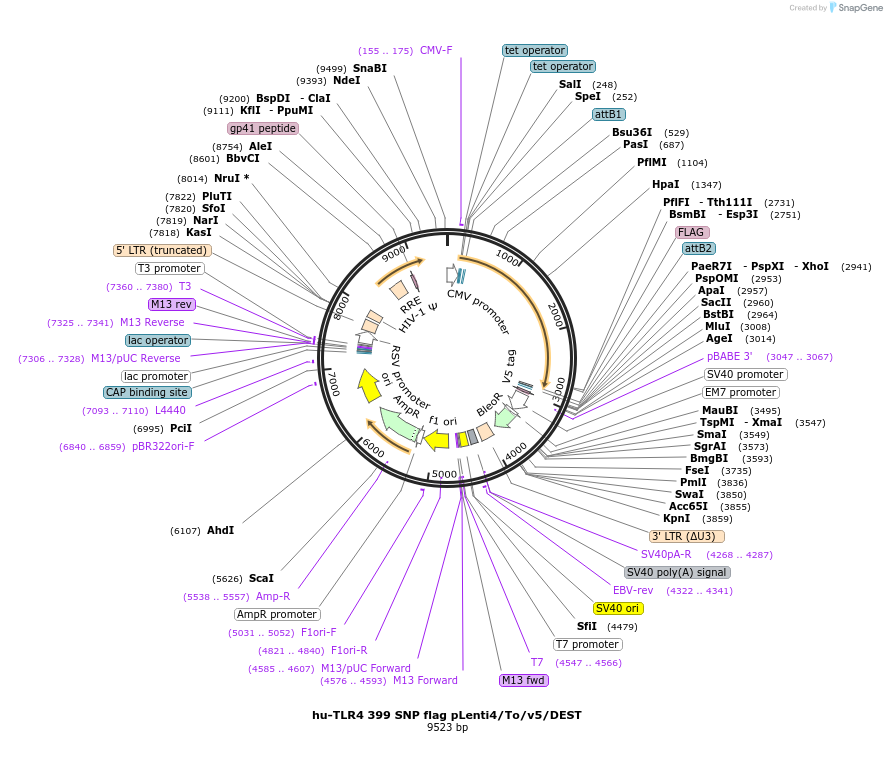 42651-plasmid-map-sequence-id-201749