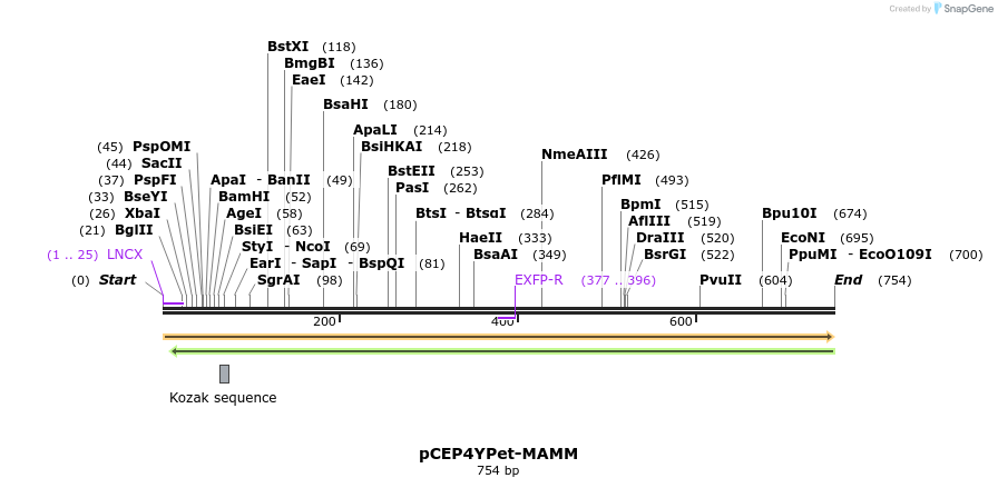 20190_map