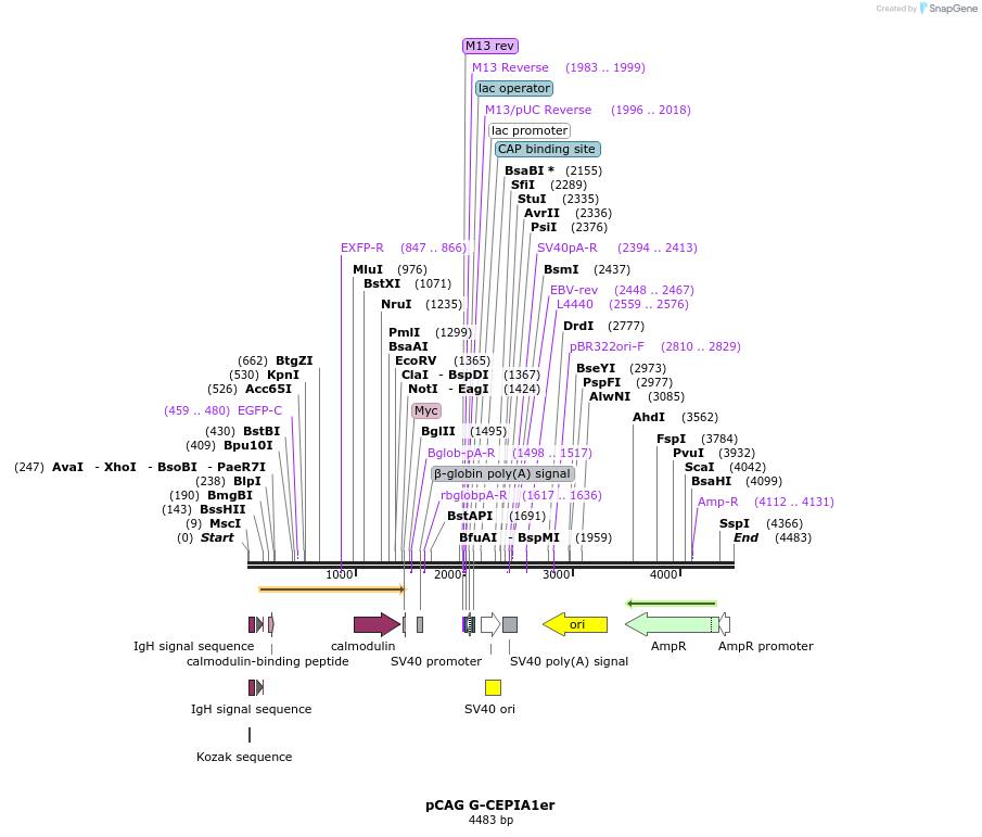 202041_map