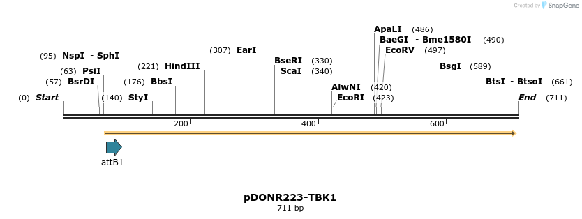 202054_map