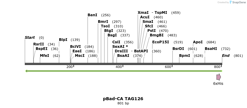 202132_map