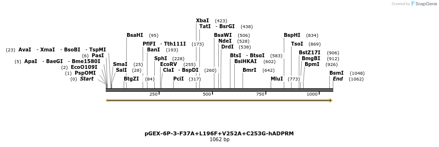 202157_map