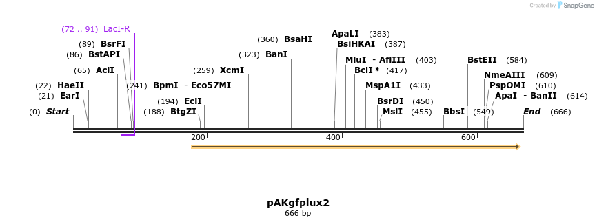 20227_map
