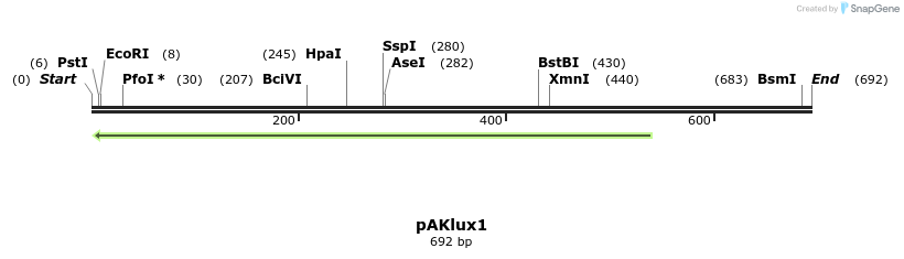 20228_map