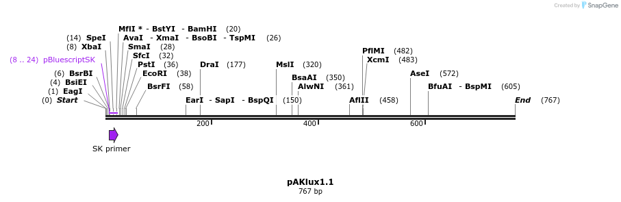 20229_map