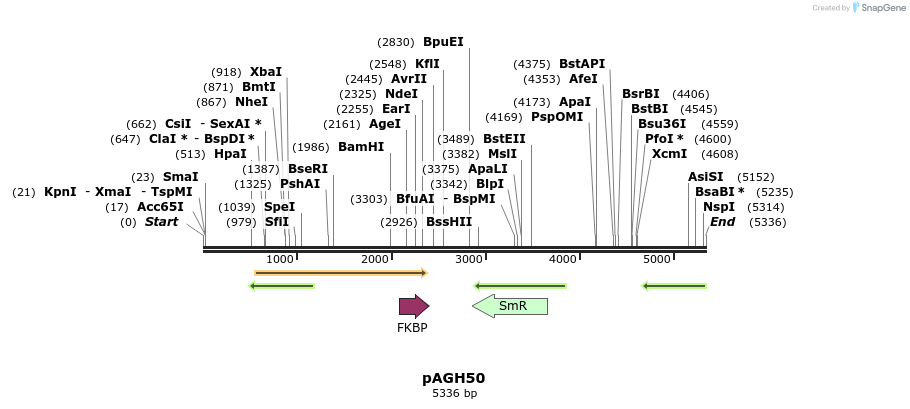 202312_map