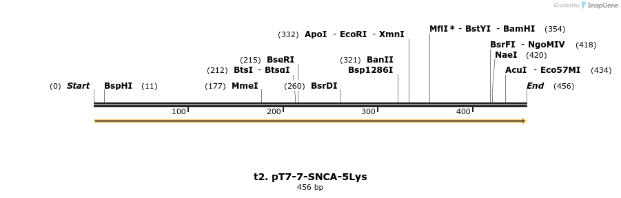 202421_map